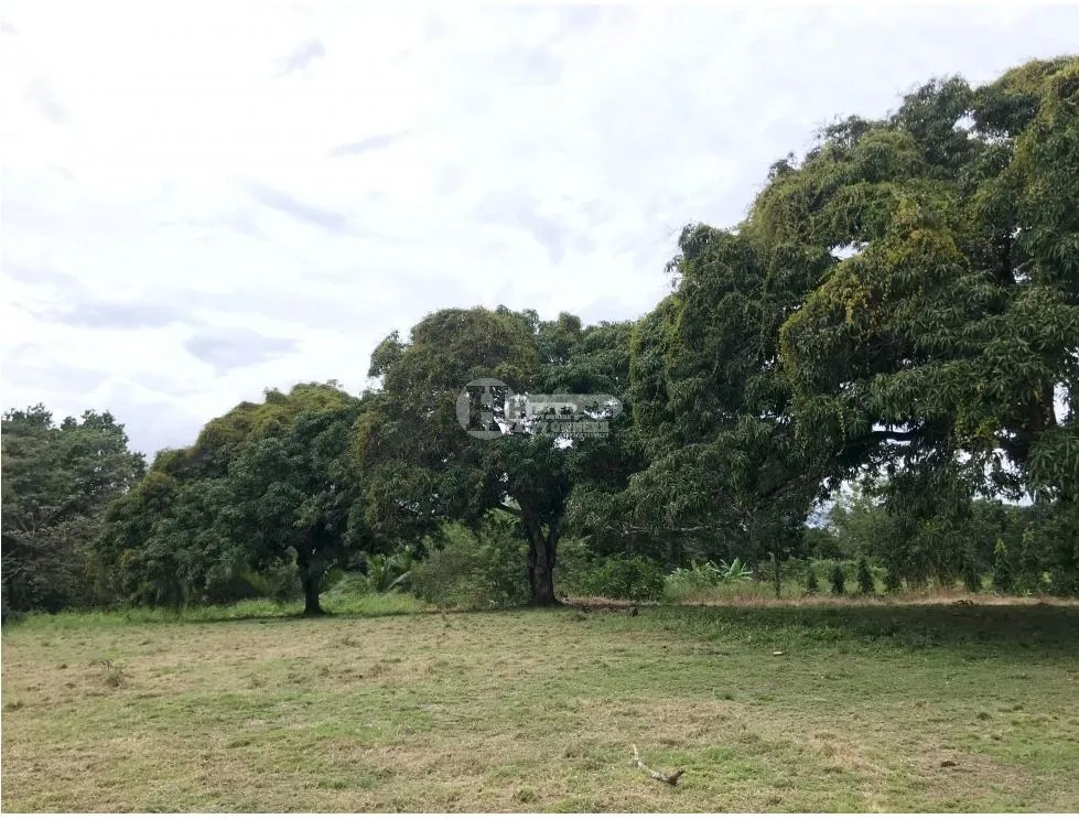 Se vende finca de 5 hectareas en río hato, coclé