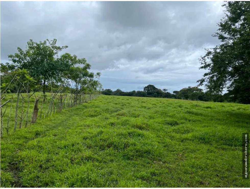Se vende finca en pedasí, los santos