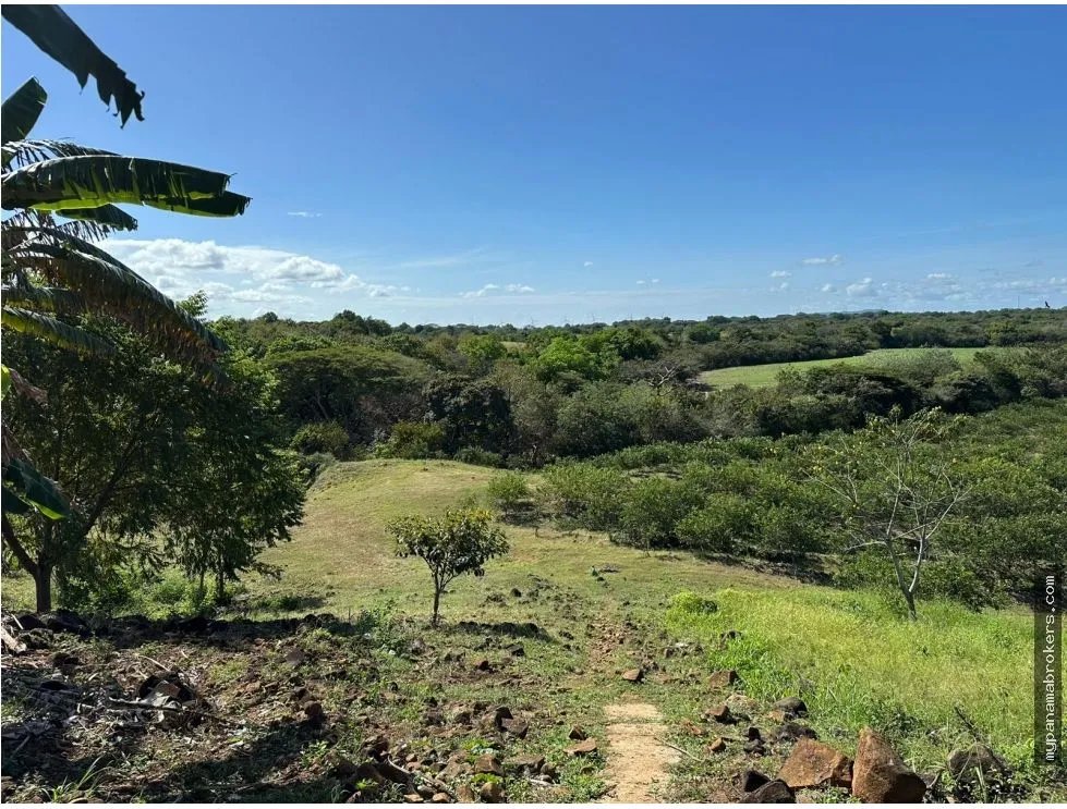 Se vende finca en cañaveral, coclé