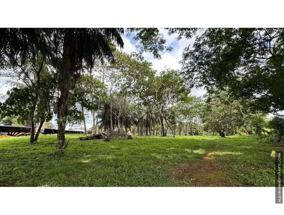 Se vende terreno en david, chiriquí