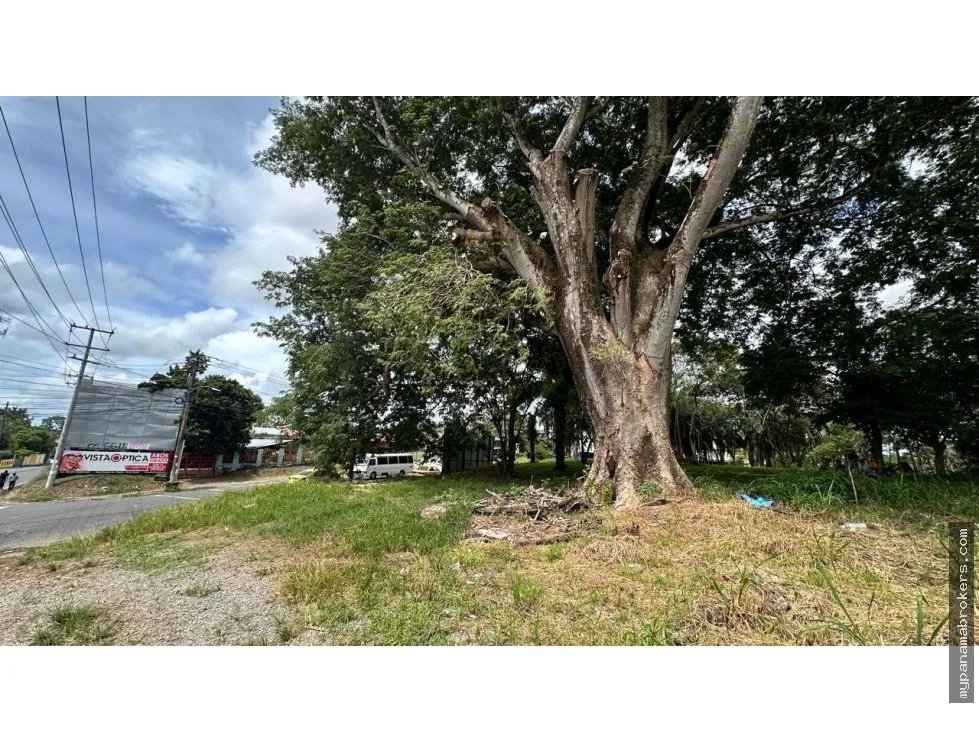 Se vende terreno en david, chiriquí