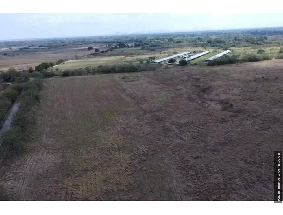 Se vende finca frente a la panamericana en antón, coclé