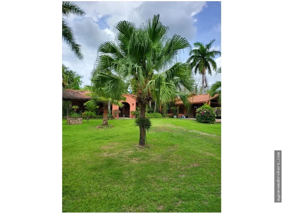 Se vende casa con plantación en nueva gorgona, chame