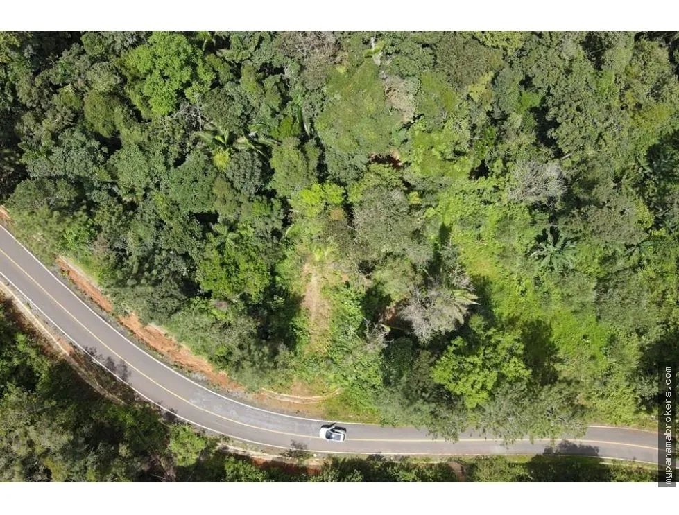 Se venden lotes en altos de pacora