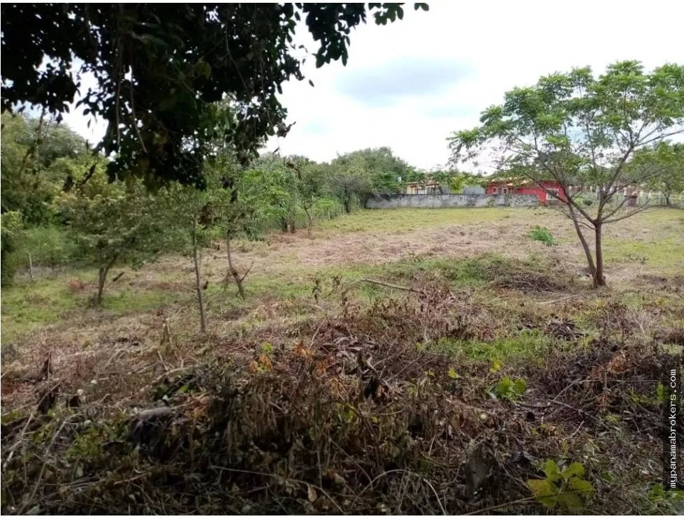Se vende lote en la florenciana, chame