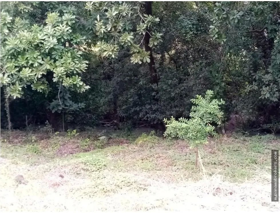 Se vende lote en la florenciana, chame