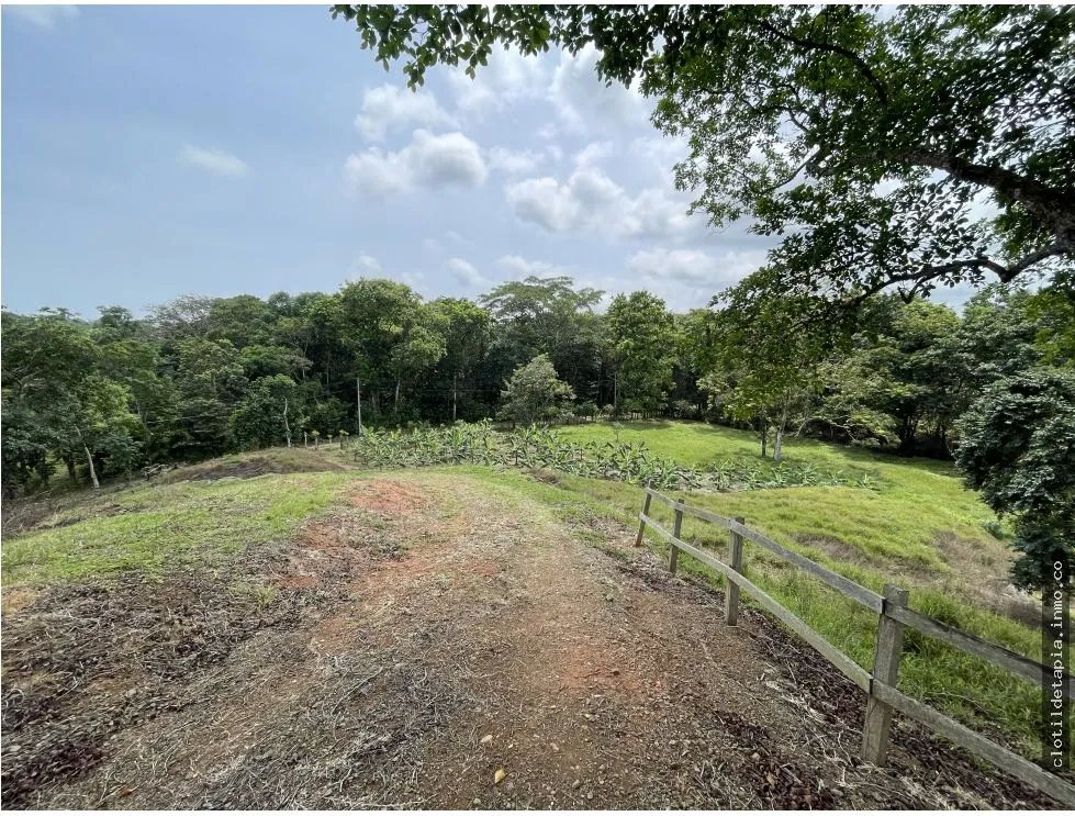 Se vende finca en viento frío, santa isabel