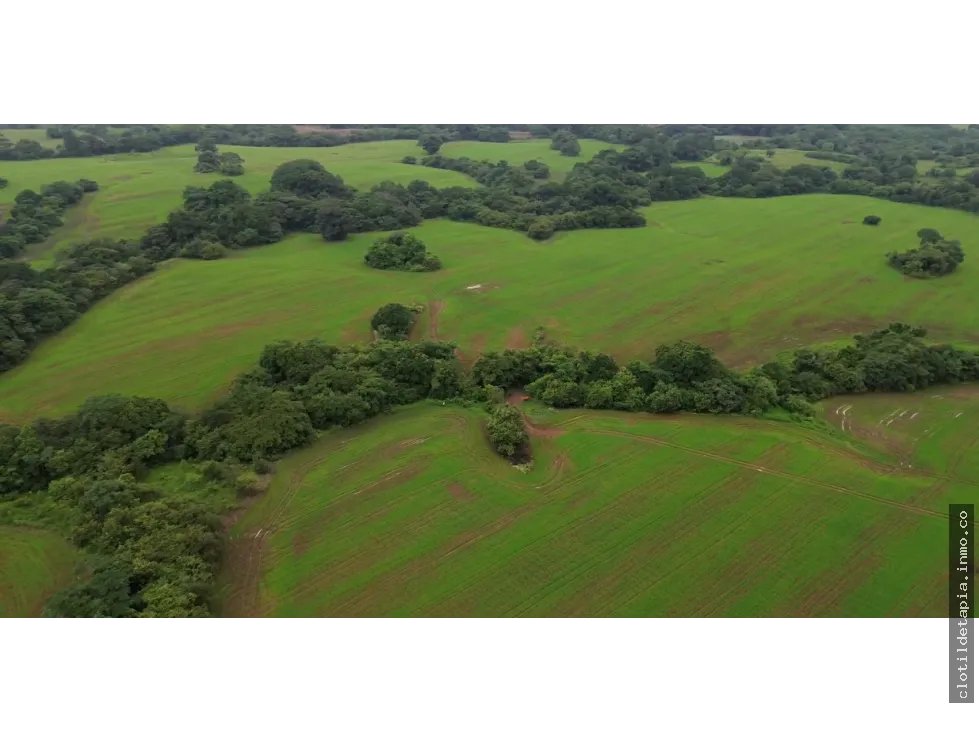 Venta de finca en pedasí, los santos