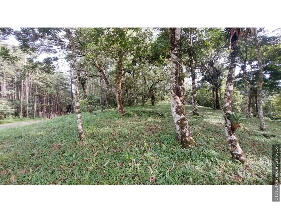 Se vende lote en altos del maría, chame