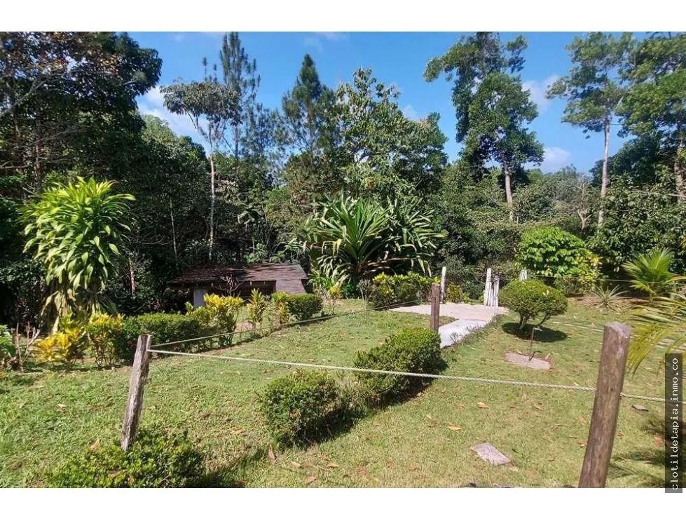 Se vende finca en nueva providencia, colón