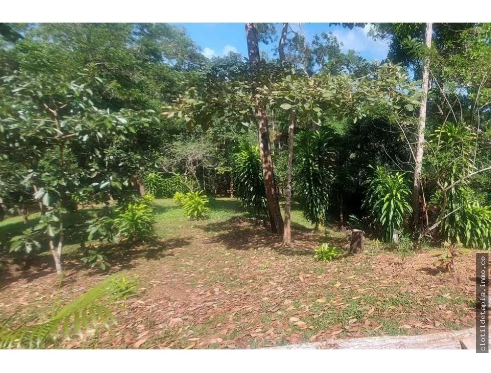 Se vende finca en nueva providencia, colón