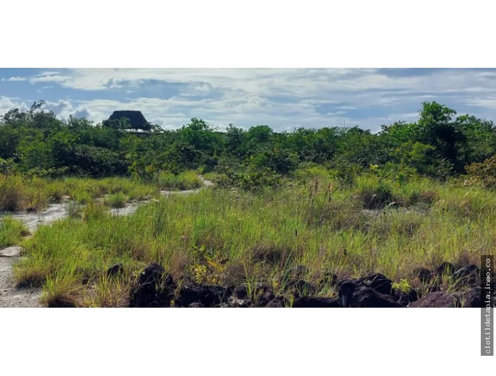Se venden hectáreas en los pozos antón, coclé