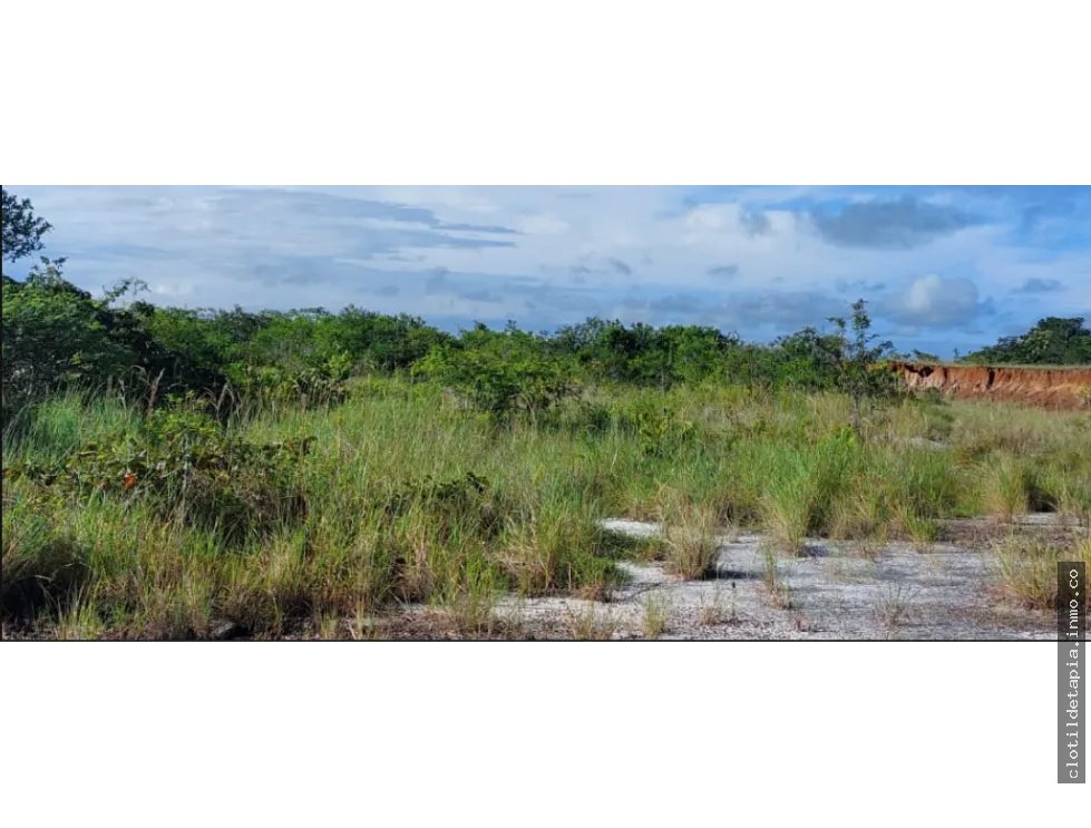 Se venden hectáreas en los pozos antón, coclé