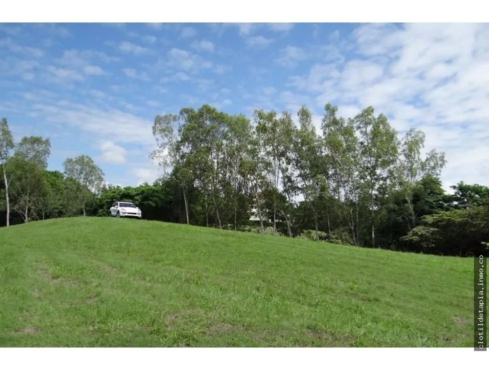 Se vende finca en las lagartijas, san carlos