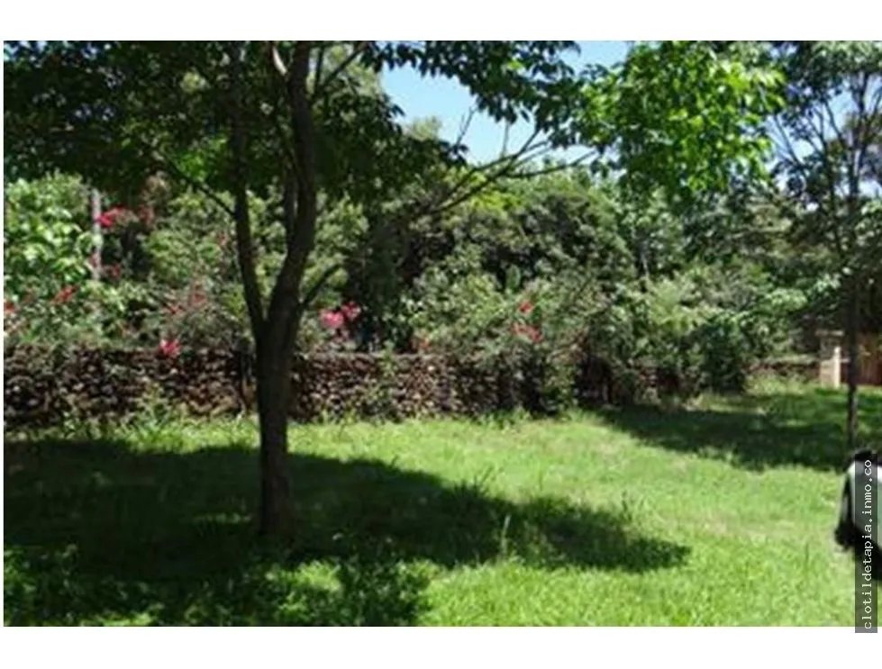 Se vende finca en las lagartijas, san carlos