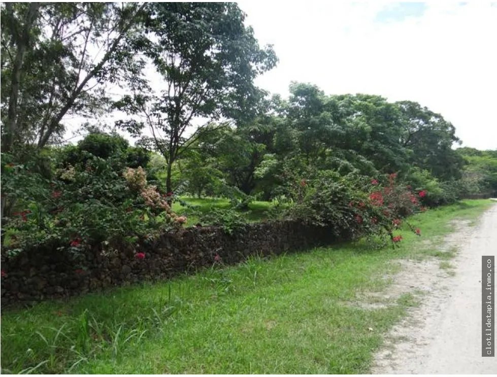 Se vende finca en las lagartijas, san carlos