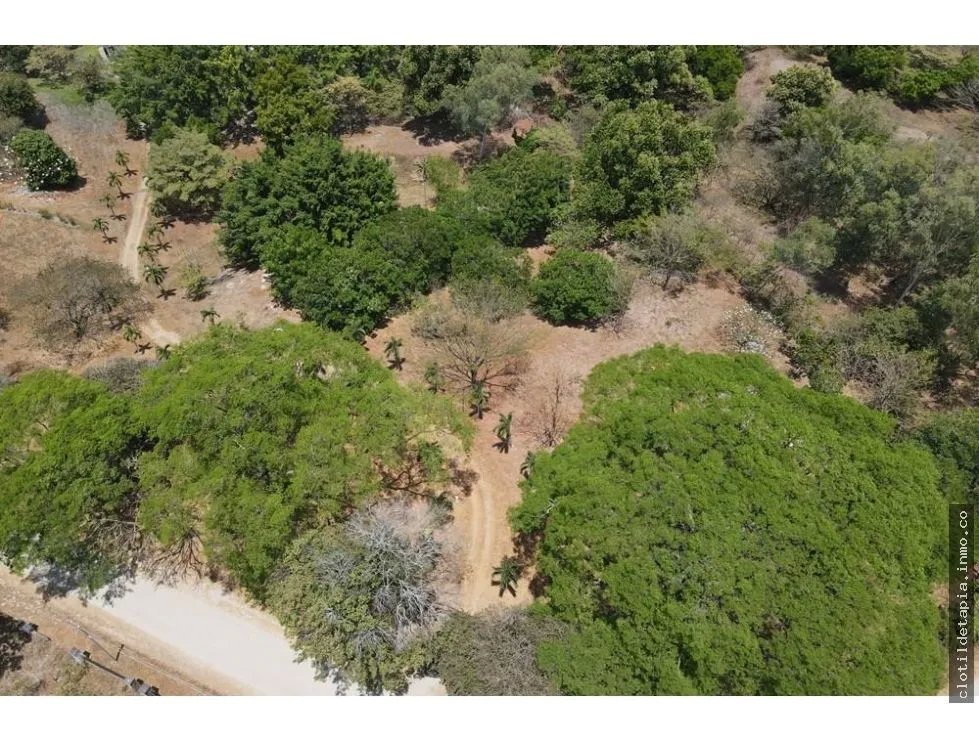 Se vende finca en las lagartijas, san carlos