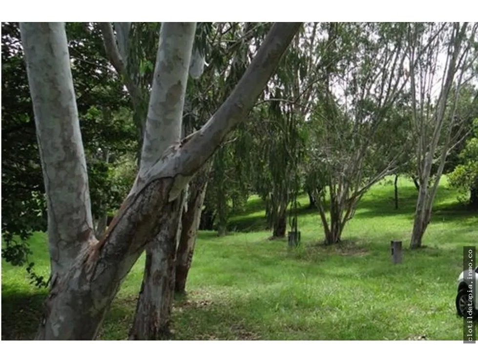 Se vende finca en las lagartijas, san carlos