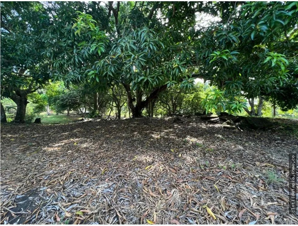 Se vende lote en albrook, ancón