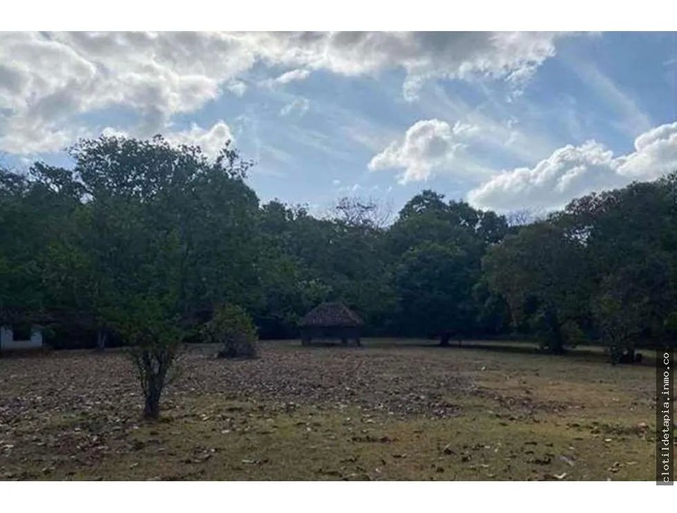 Se vende finca de 12 hectáreas en rodeo viejo, san carlos