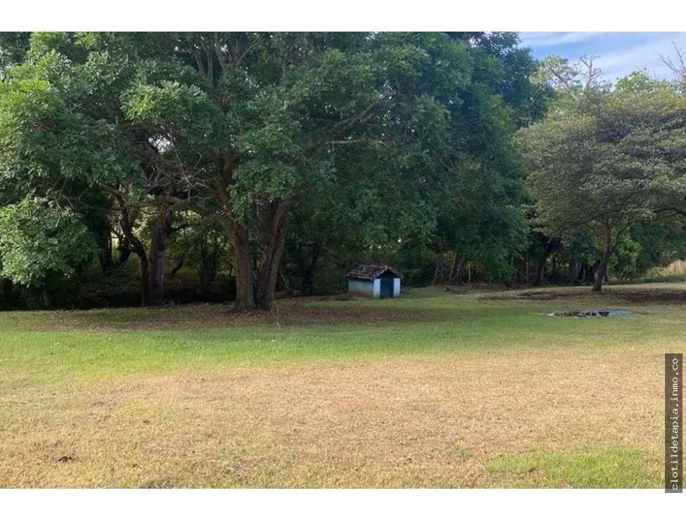Se vende finca de 12 hectáreas en rodeo viejo, san carlos