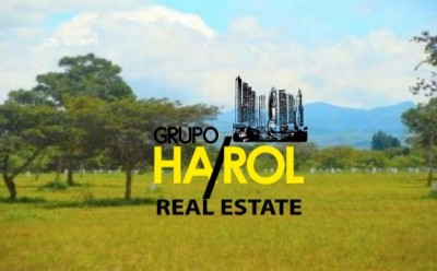 24580 - Ciudad de Panamá - lots