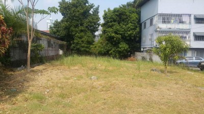 42677 - San francisco - lotes