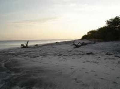 4921 - Antón - lots