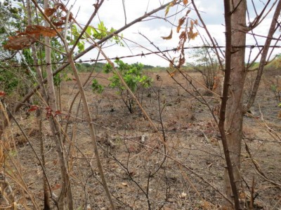 71847 - El coco - la chorrera - lots