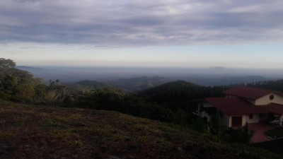 73678 - Sora - lotes