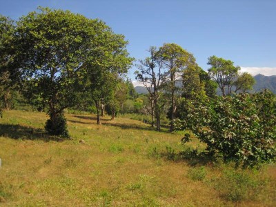 820 - Boquete - lots