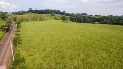 90242 - La Chorrera - lots