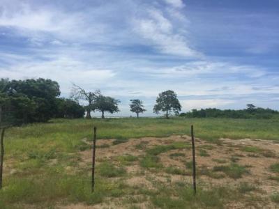 90714 - Punta chame - lots