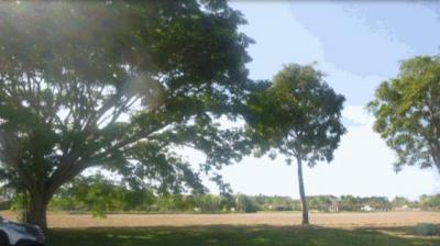 94718 - Rio hato - lots